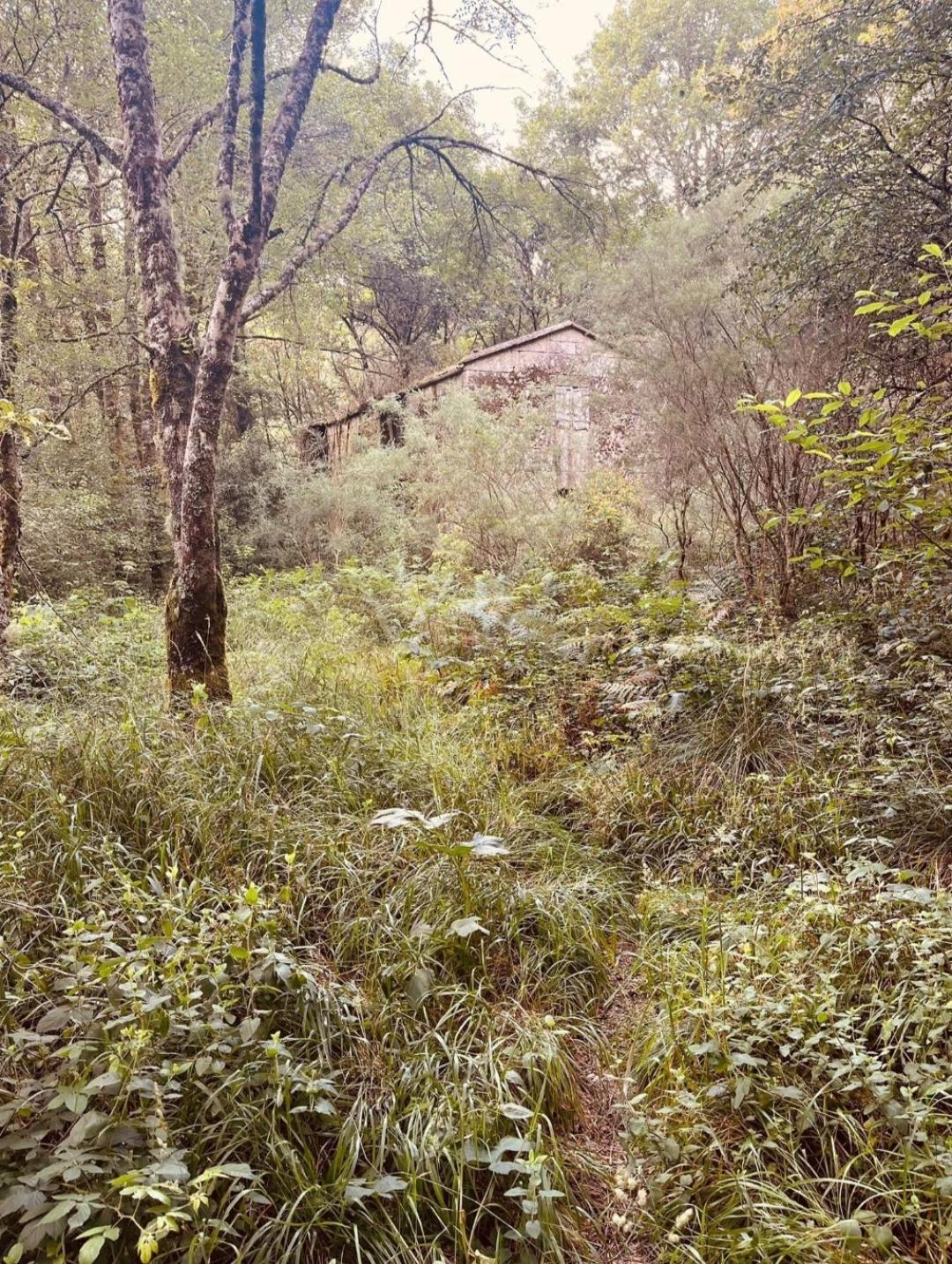 Penzion Casa Da Rapadoira Laxoso de Abaixo Exteriér fotografie